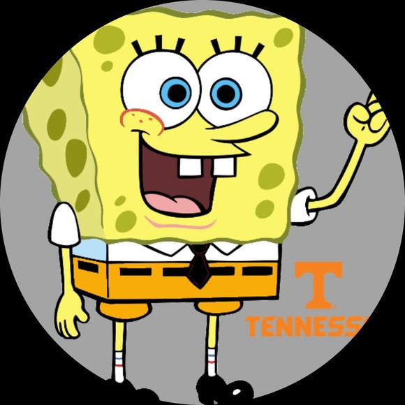 spongevol93